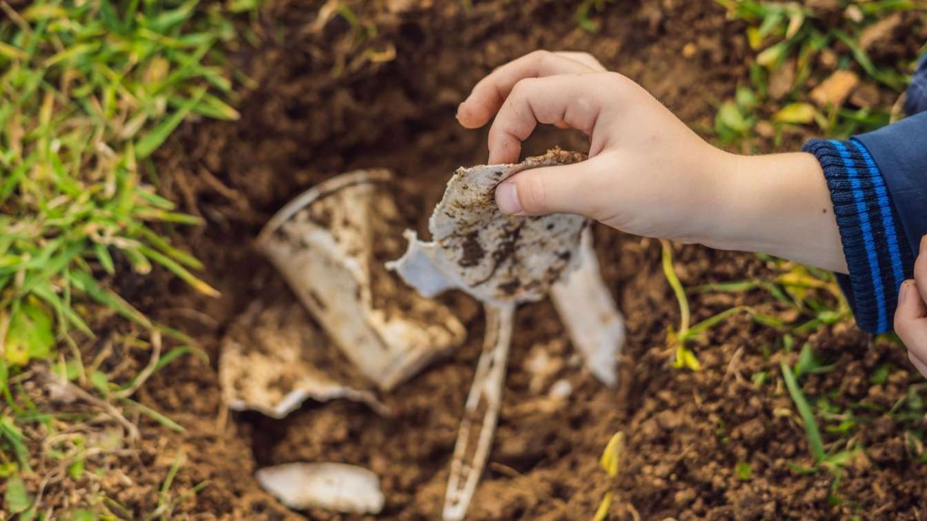 What Does Biodegradable Mean